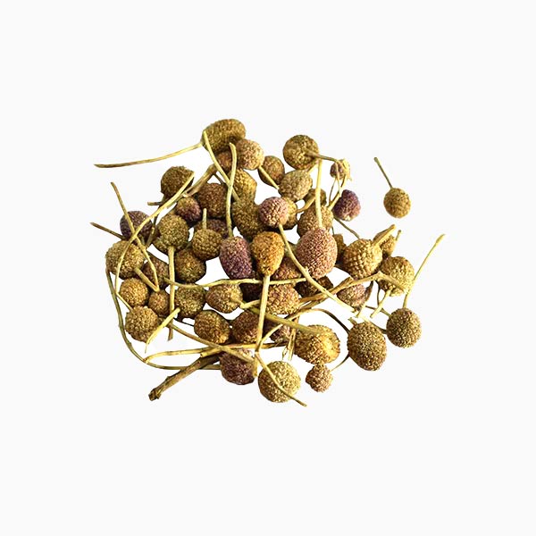 Original Gorakh mundi, Mundi Booti, Gul Mundi, Baras Bondi